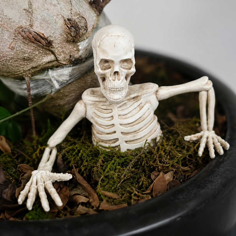 Half-body Climbing Out of the  - Bonsai Garden Landscape Design recension och pris